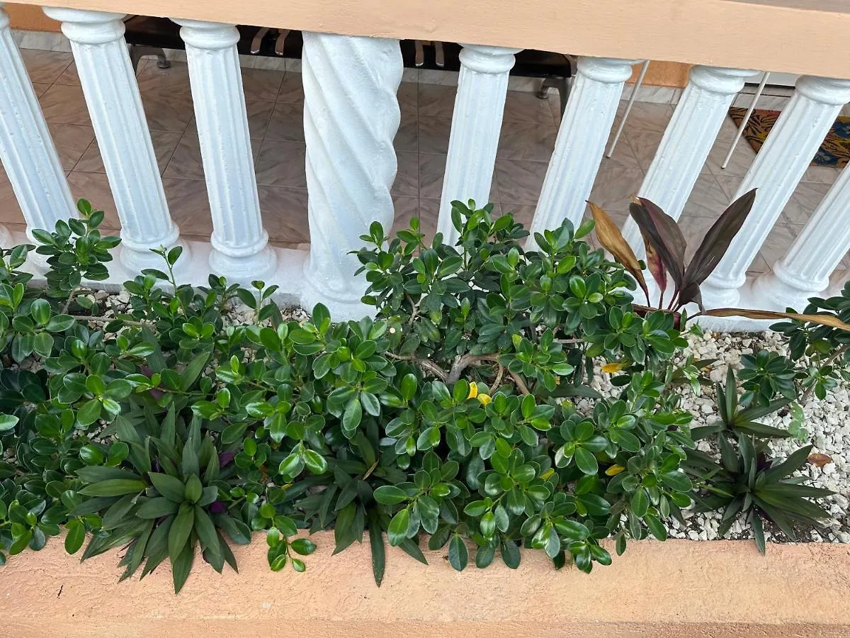 Remarkable 1-Bed Apartment In Montego Bay Jamaica