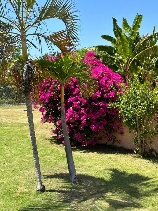 Remarkable 1-Bed Apartment In Montego Bay Jamaica